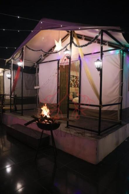 Luxury Farmhouse In Chhatarpur With Pool 뉴델리 외부 사진